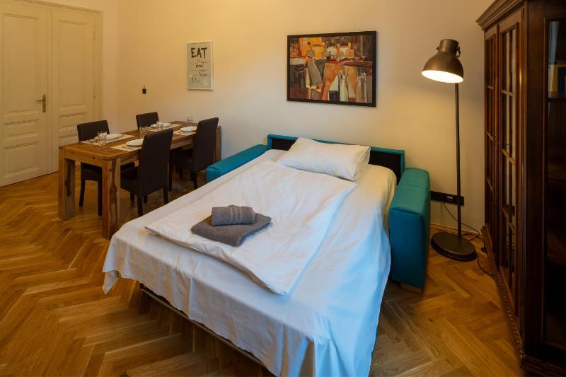 Old Town - 3 Room with 2 Bathroom & Balcony Apartment 28 Října - image 16
