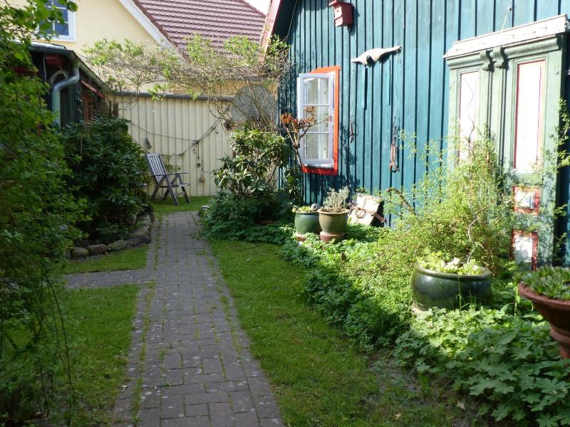 Stella - image 14
