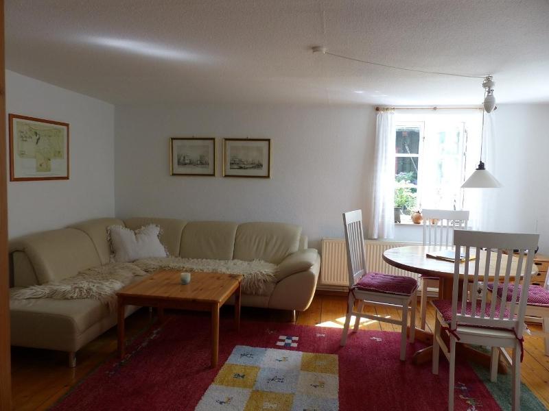 Stella - image 15
