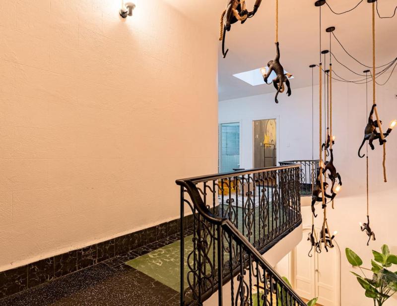 Huge Home for 23 Rare Indoor Garden Near Hotspots - image 7