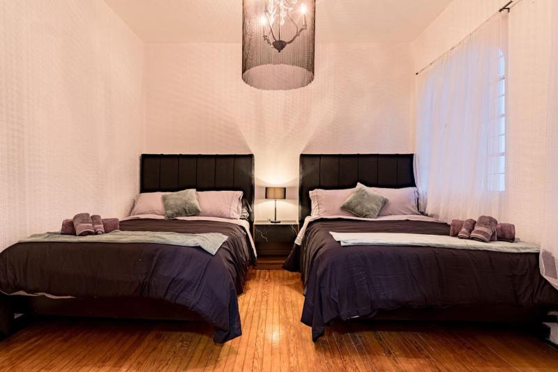 Huge Home for 23 Rare Indoor Garden Near Hotspots - image 13