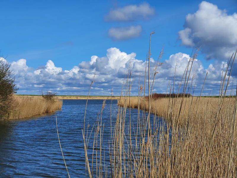 Ferienwohnung Seemöwe - Ihr Wohlfühlort an der Nordsee - image 12