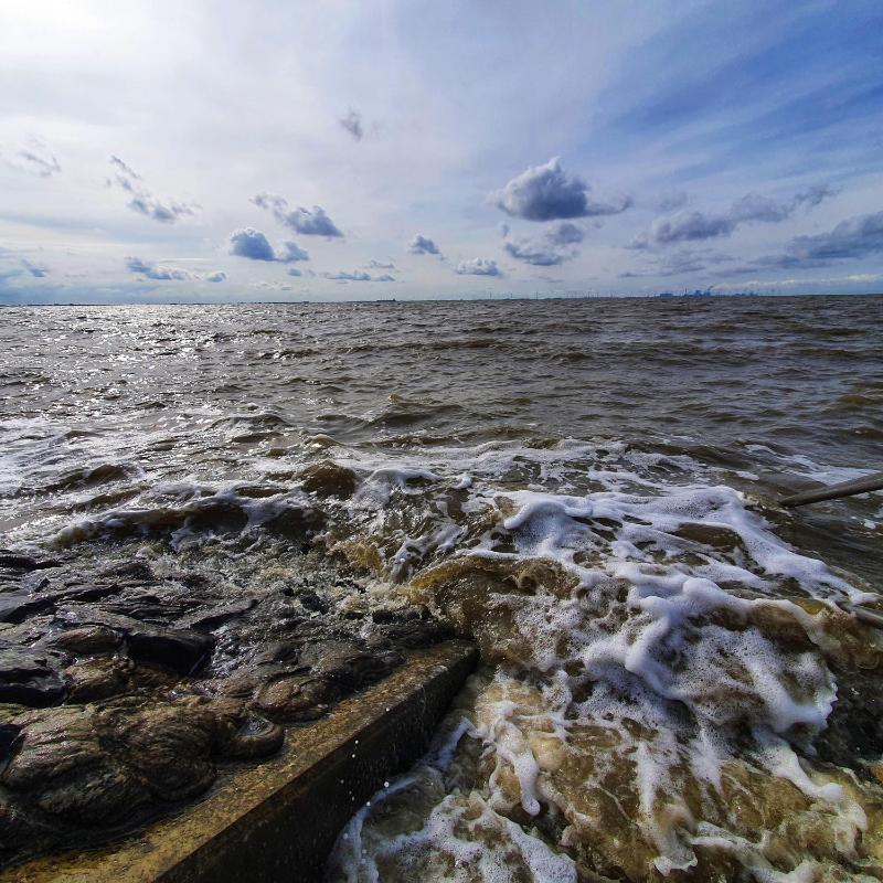 Ferienwohnung Seemöwe - Ihr Wohlfühlort an der Nordsee - image 11