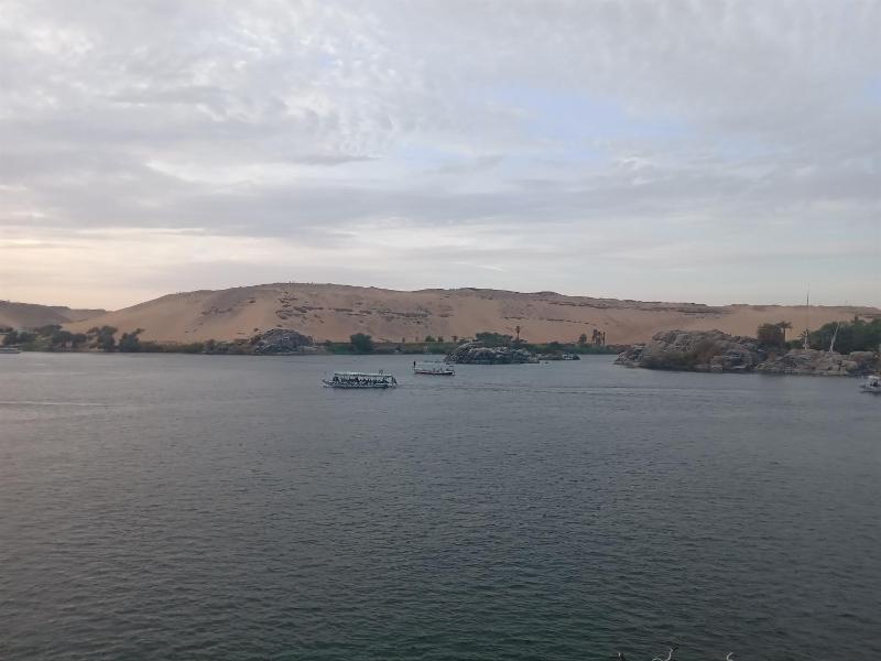 hooly nubian - image 9
