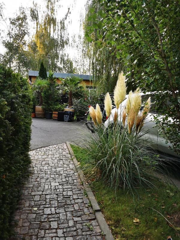 Ferienwohnung Silva - image 7
