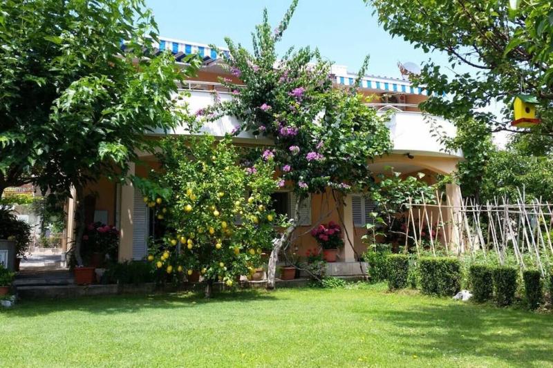 Apartments Ivo - image 14
