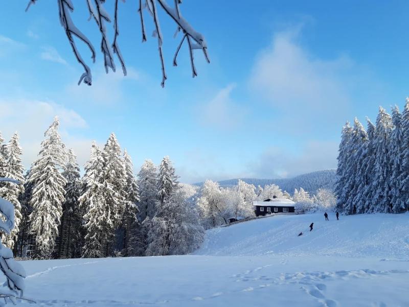 Hahnenklee mit Seeblick im Harz - image 2