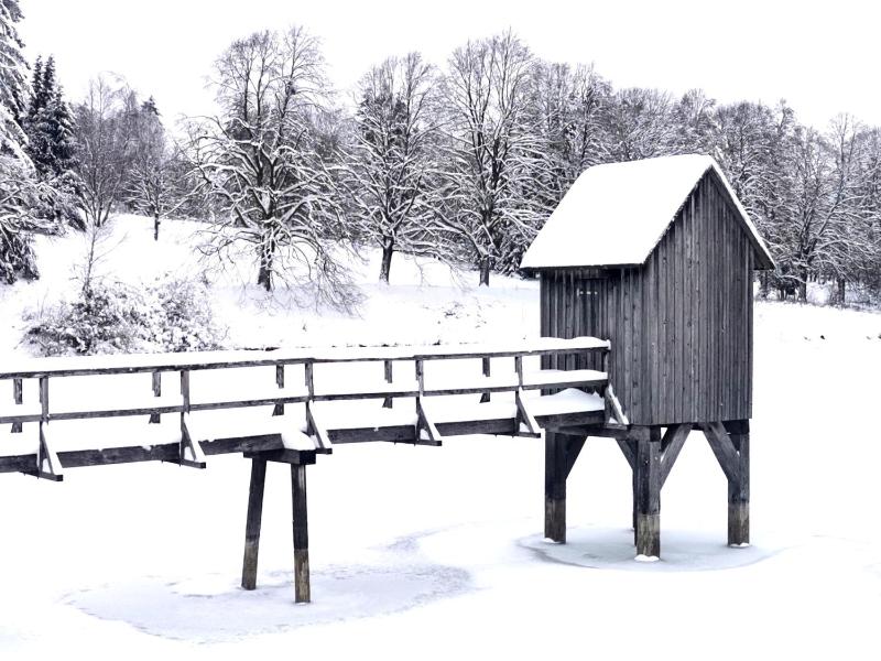 Hahnenklee mit Seeblick im Harz - image 10