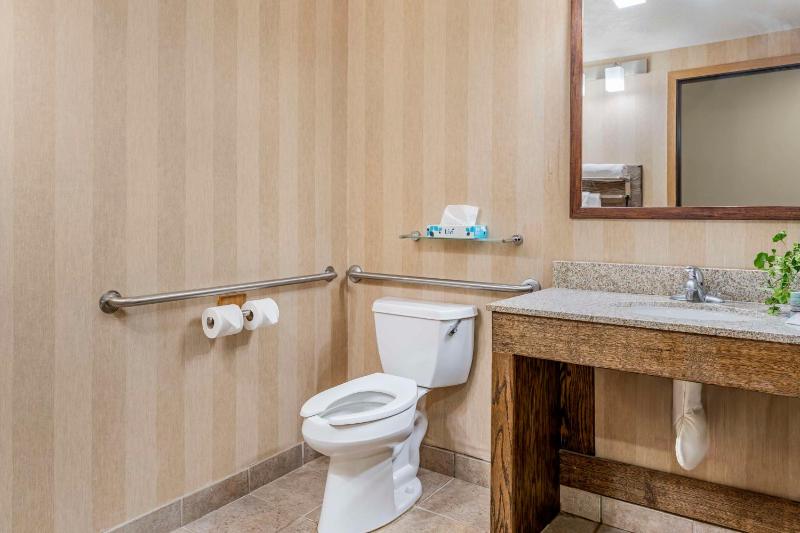 King Room with Roll-In Shower - Disability Access image 4