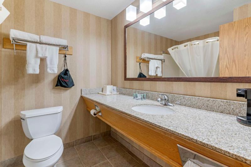 King Room - Non-Smoking image 4