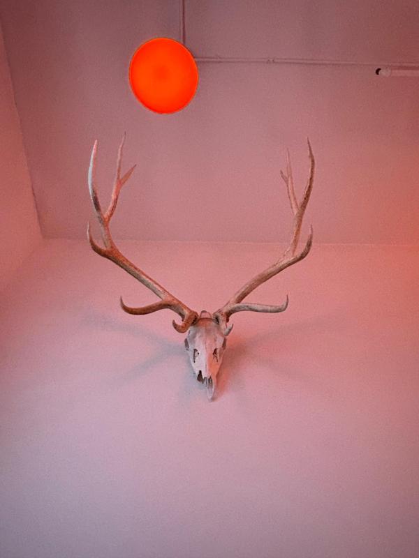 Ace Hotel Seattle - image 12