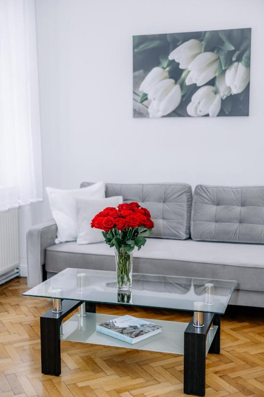 Elegant Vienna Apartment - image 13