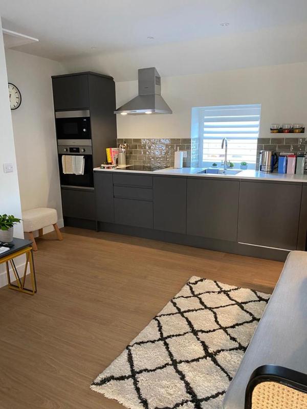 One-Bedroom Apartment image 2