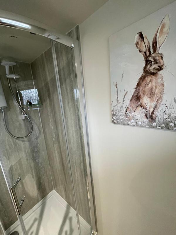 Standard Twin Room image 4