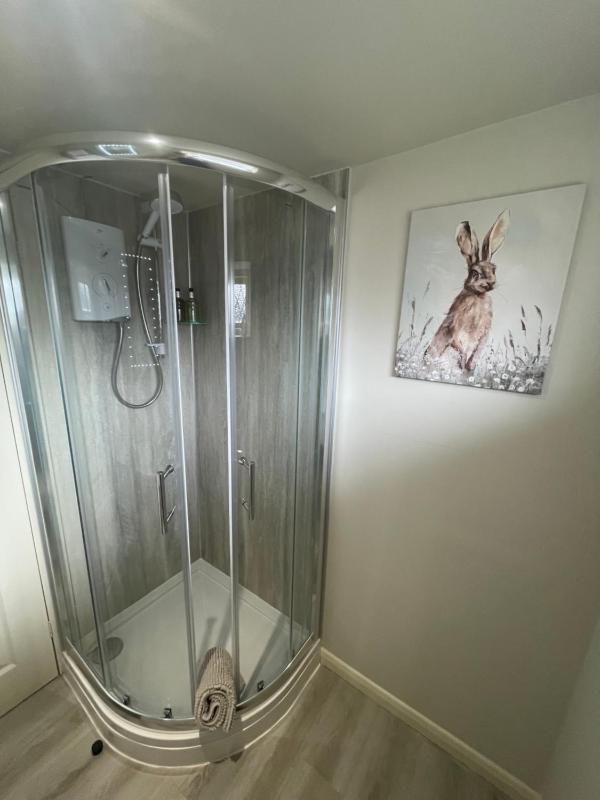 Standard Twin Room image 2