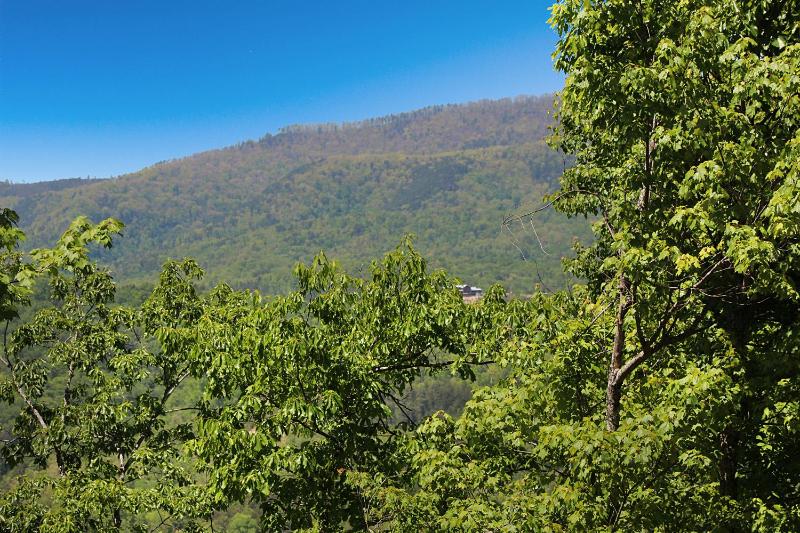Pleasant View - image 22