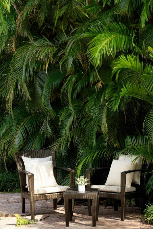 The Westin Fort Lauderdale - image 29