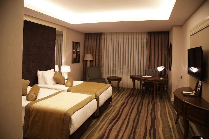 Standard Double or Twin Room image 3