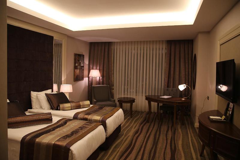 Standard Double or Twin Room image 2