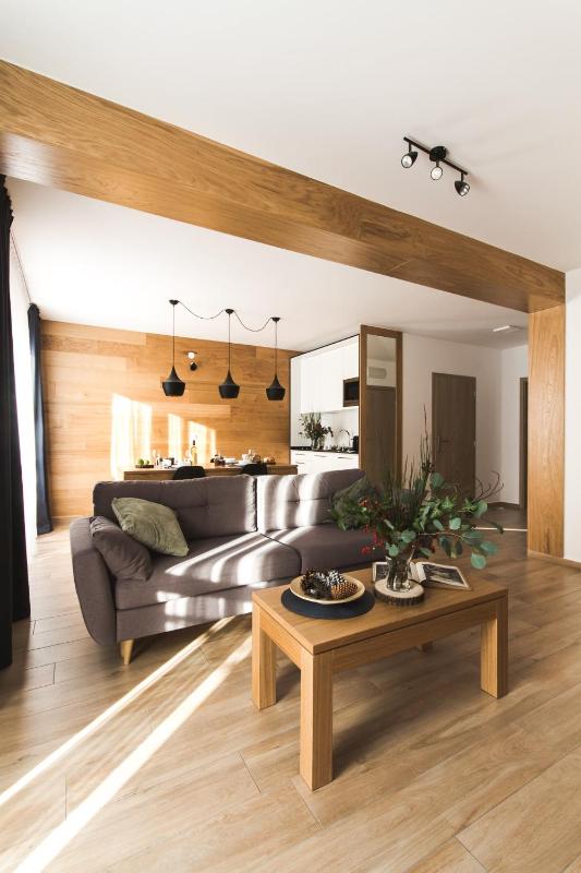 One-Bedroom Comfort Apartment with Fireplace and air conditioning image 1
