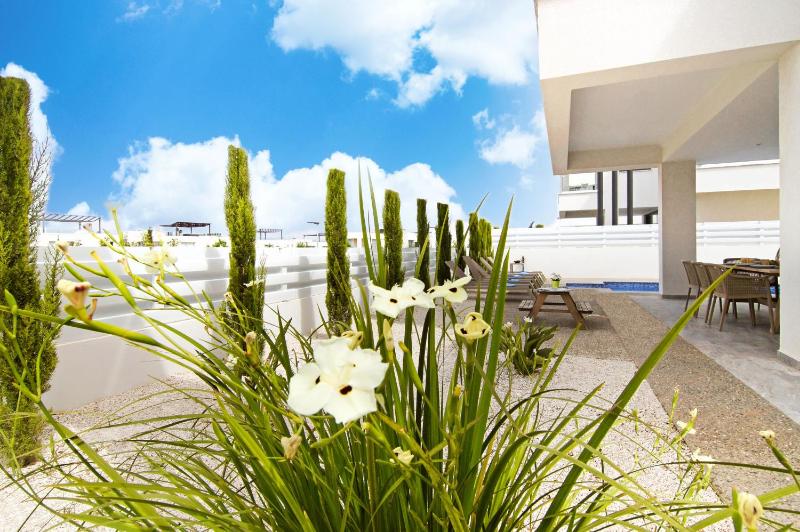 Villa Amity - image 12