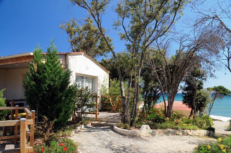 Deluxe Bungalow image 1