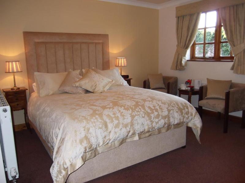 Deluxe King Room image 3