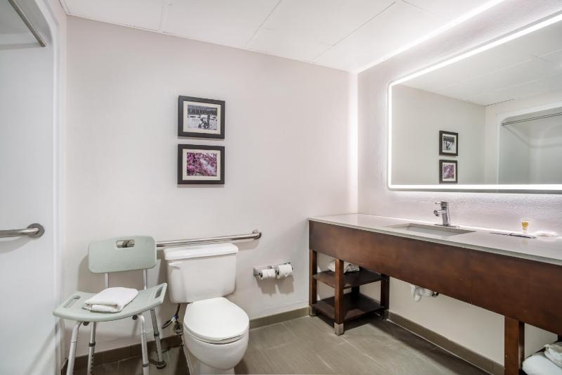 King Room - Accessible/Non-Smoking image 4