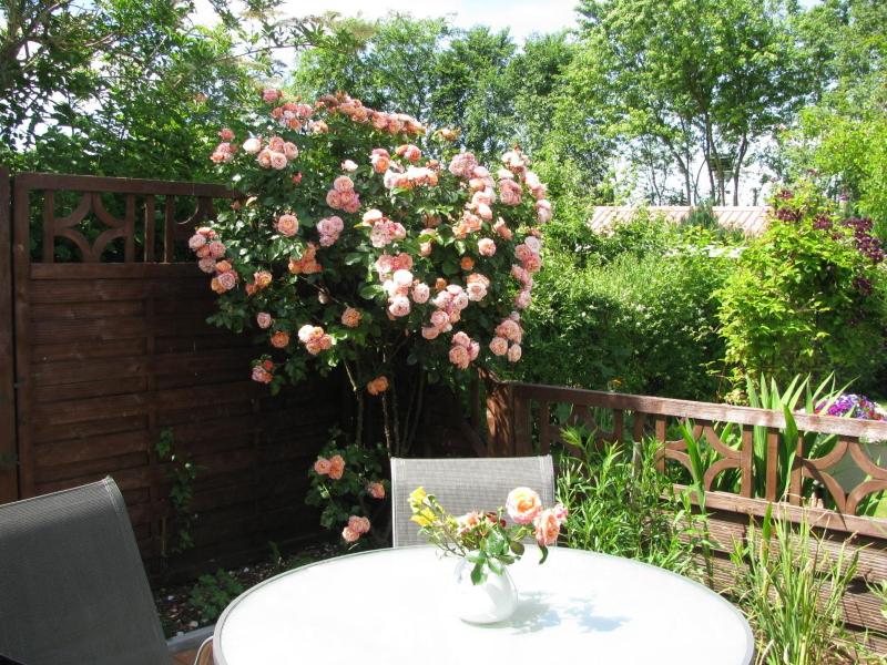 Holiday Home image 3