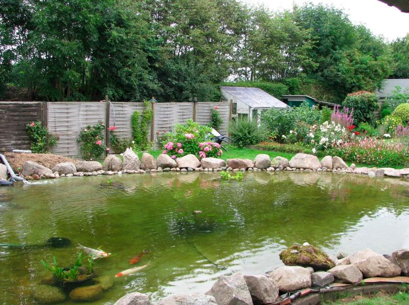 Holiday Home image 4