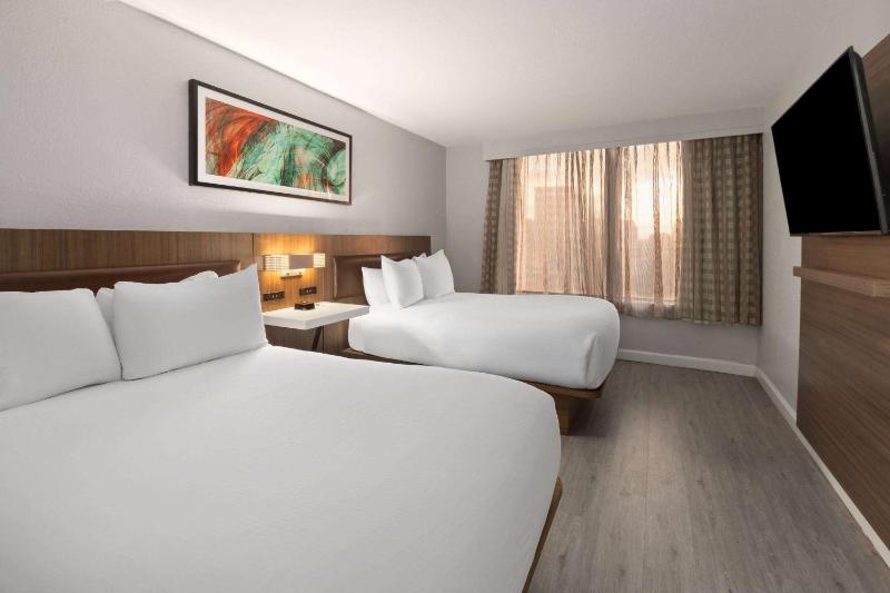 Two Double Beds Suite image 3