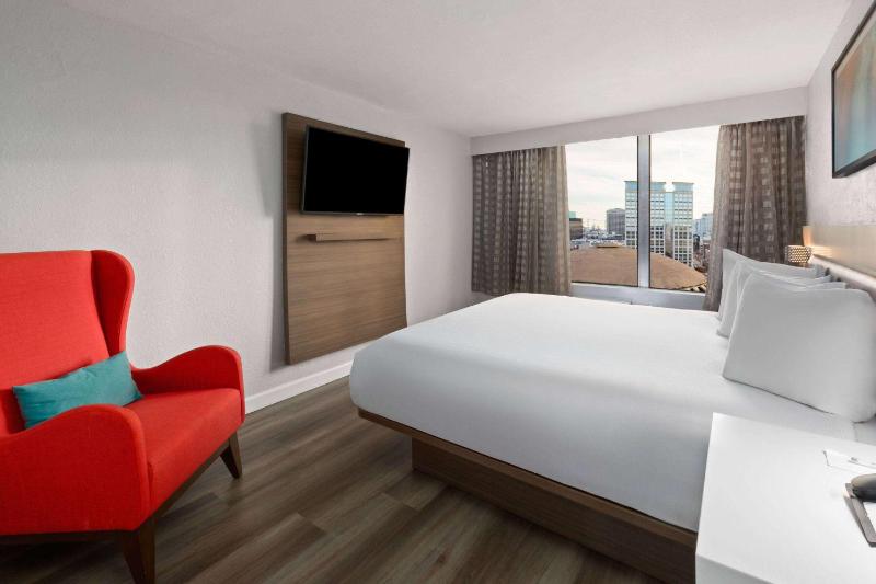 King Suite image 4