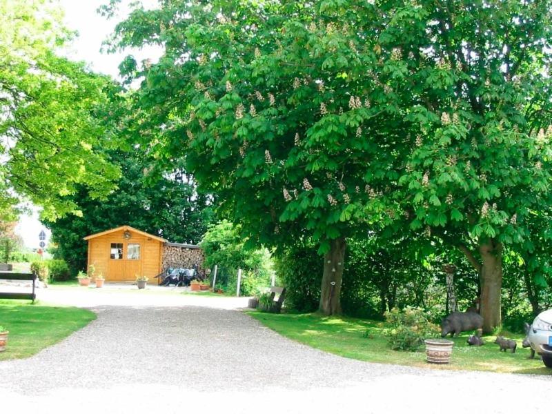 Ferienhof Jahn - Appartment - image 13