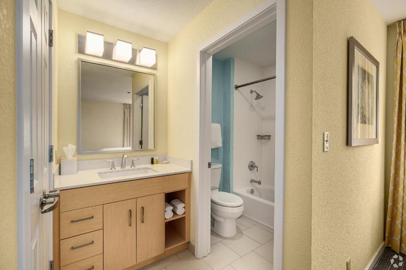 Deluxe King Suite image 4