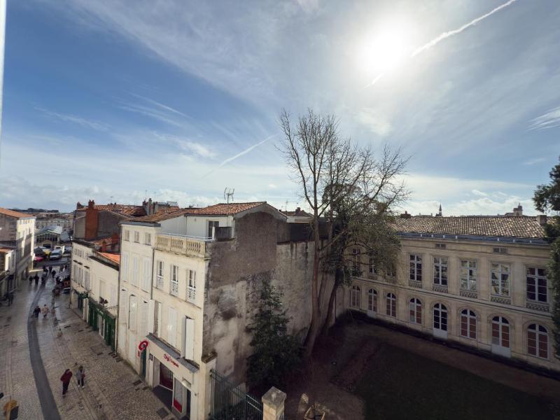 Triple Family Room image 2