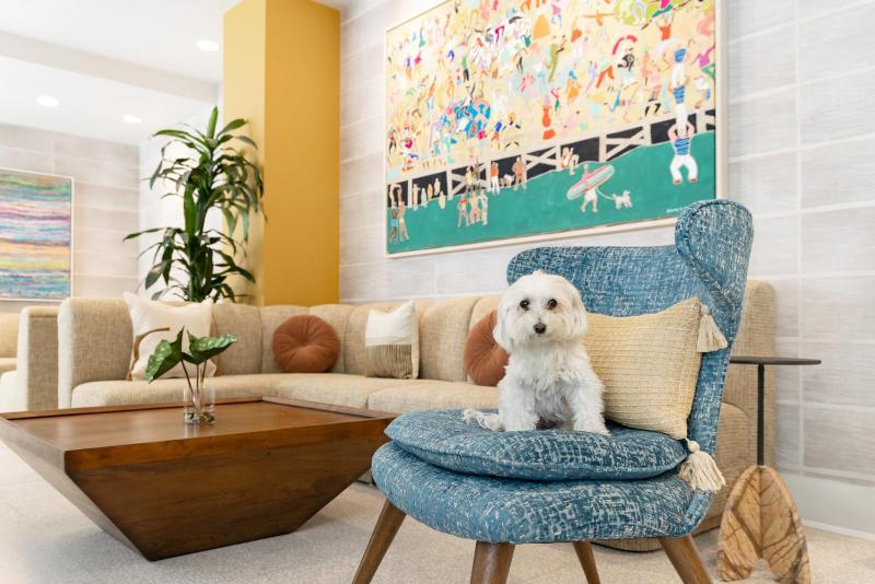 Hotel Continental Miami Beach Tapestry Collection by Hilton - image 3