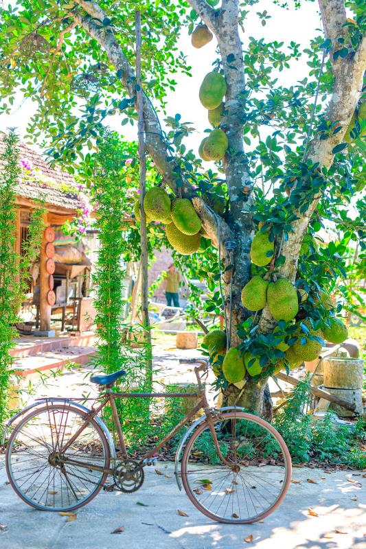 Dong Giao Bungalows Ninh Binh - image 12