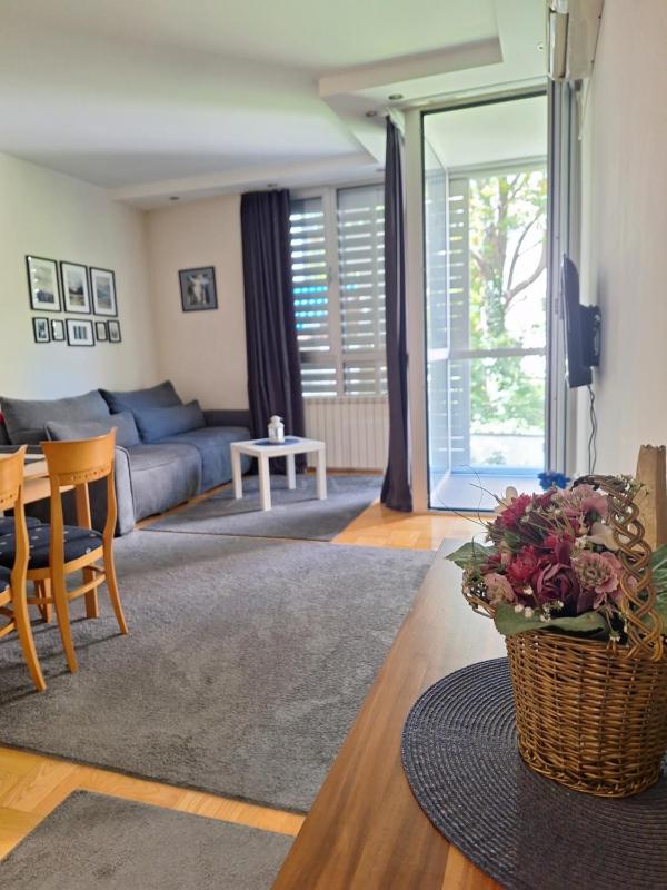 One-Bedroom Apartment image 4