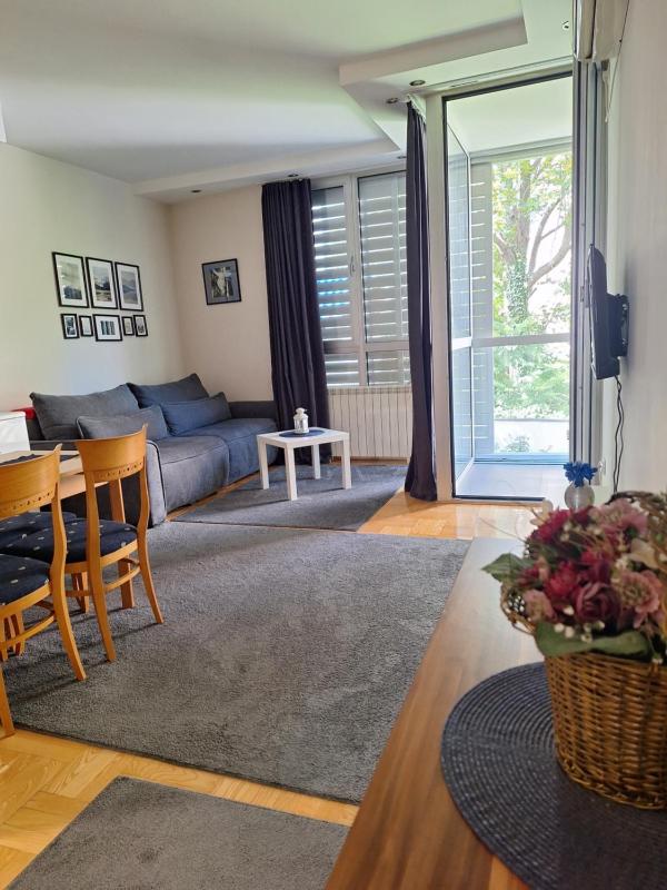One-Bedroom Apartment image 2
