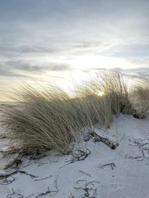 Meehrblick App 215 - image 3