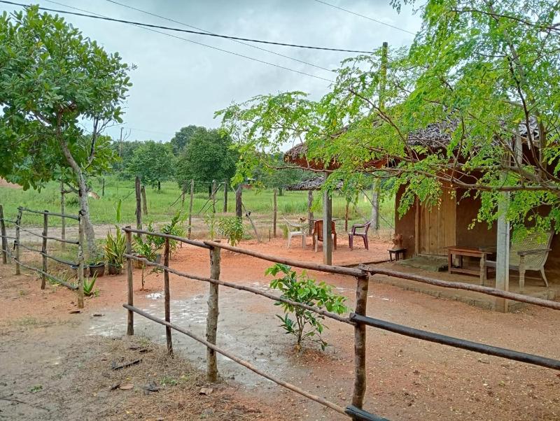 Farm house by arun - image 15
