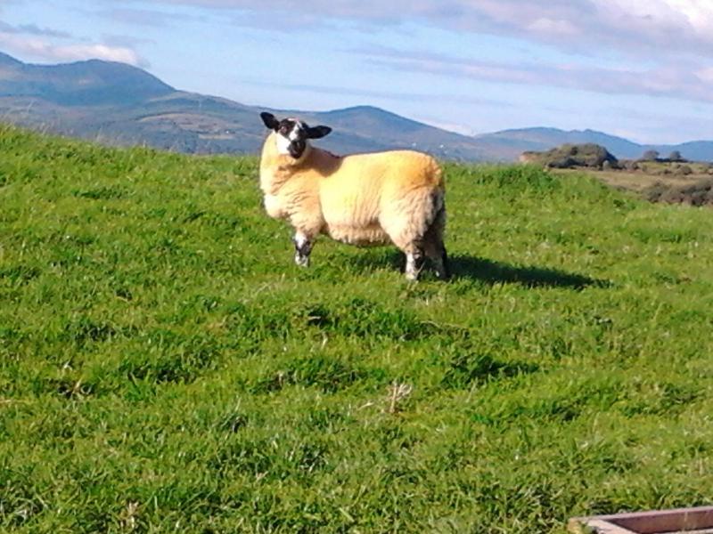 Holiday Home image 3