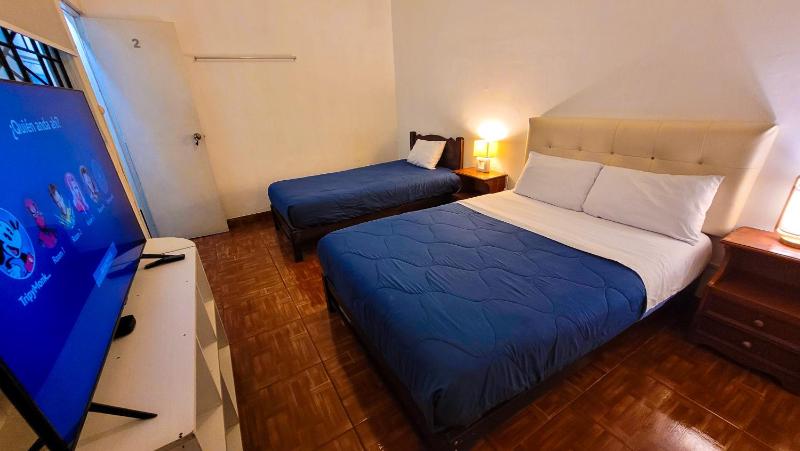 Tripper Monkey Guesthouse Miraflores - image 6