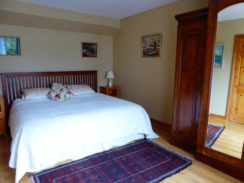 Camillaun Lodge with Lough Corrib Boat Hire - image 2