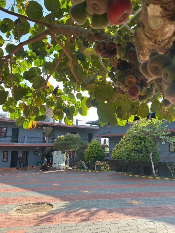 Mountain View Villas - image 28