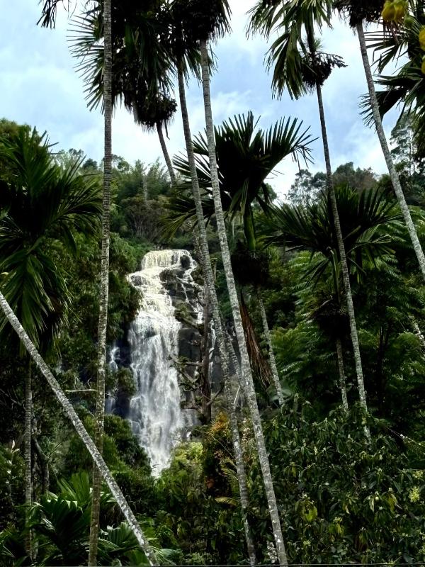 Cozy Homestay Waterfall Road Ella - image 1