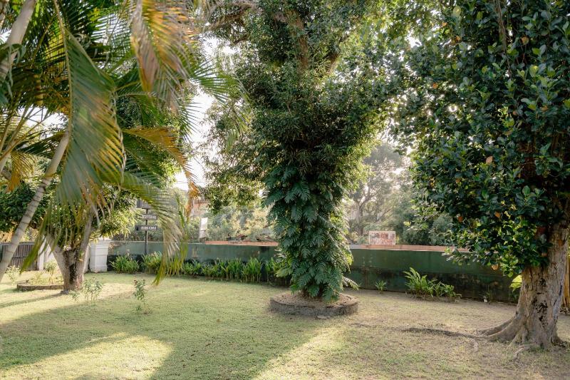 Colonial Bungalow - image 33