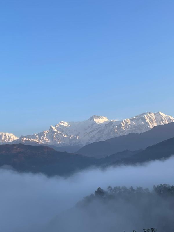 Himalaya Serene View Guest House & Farm Stay - image 10