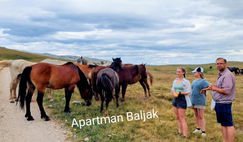 Two-Bedroom Apartment image 3