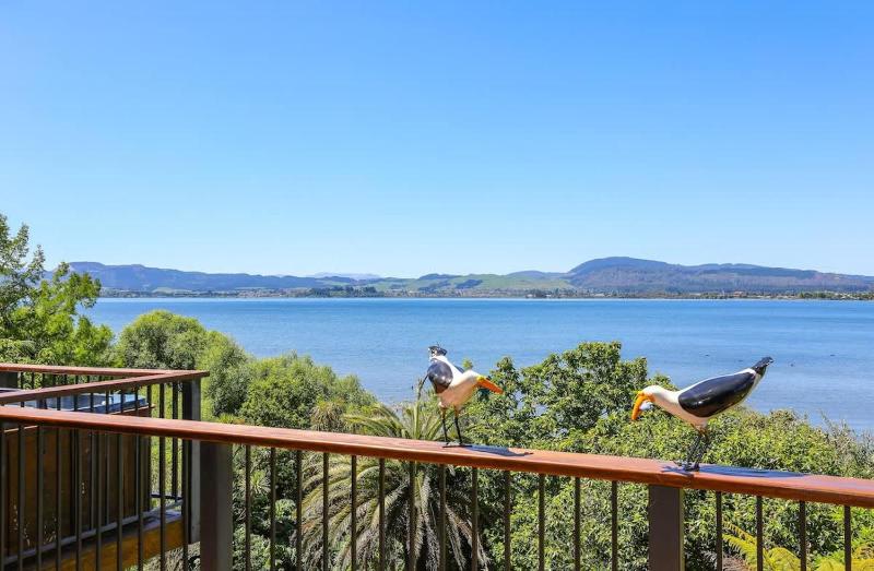 Pukeko Landing - image 35